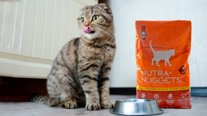 En este momento estás viendo Nutra Nuggets: Una elección saludable para la alimentación de tu gato